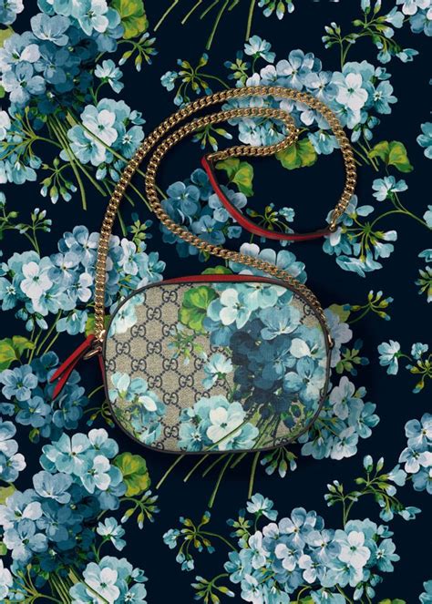 gucci blue bloom